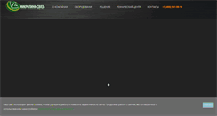 Desktop Screenshot of microlink.ru
